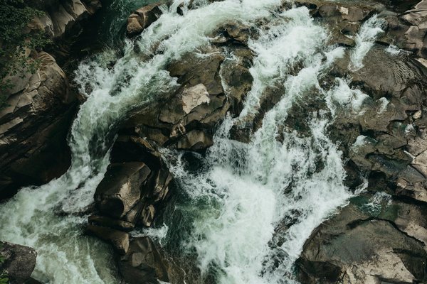 Discover the Best Places in the UK to Master Traditional English Hedgelaying Techniques