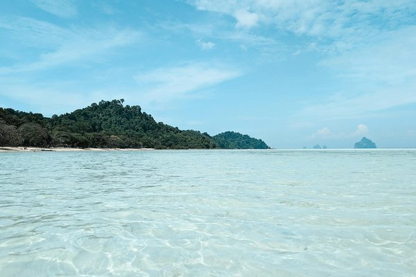 Discover the Best UK National Parks for In-Depth Wildlife Tours and Native Habitat Exploration!