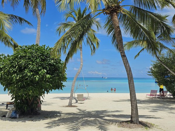 Uncover bristol"s best artisan markets: your complete guide to local hidden gems!